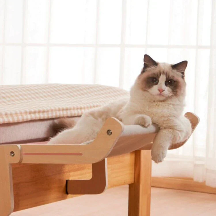 FLEXICAMA PARA GATOS